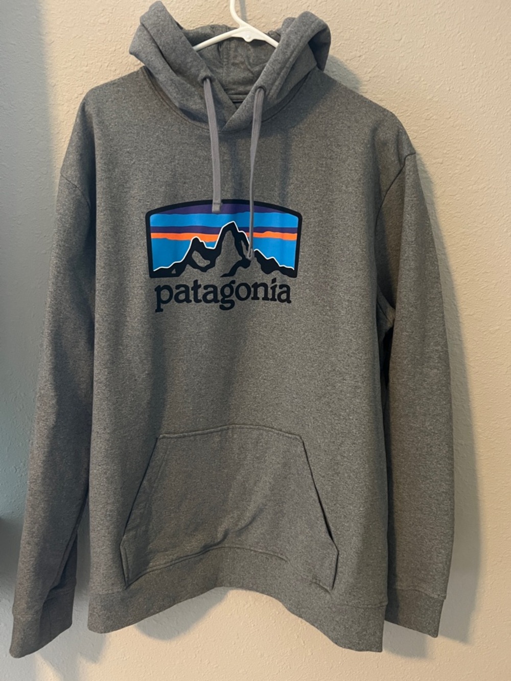 NWOT Patagonia hoodie mens size XXL